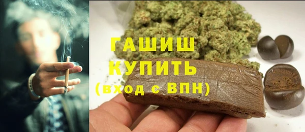 PSILOCYBIN Белокуриха
