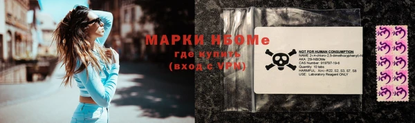 PSILOCYBIN Белокуриха