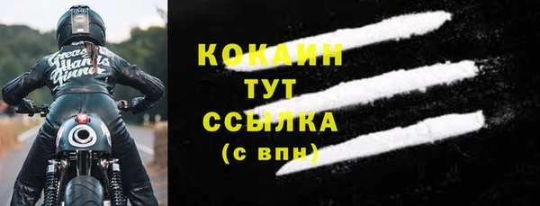 PSILOCYBIN Белокуриха