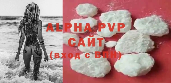 PSILOCYBIN Белокуриха